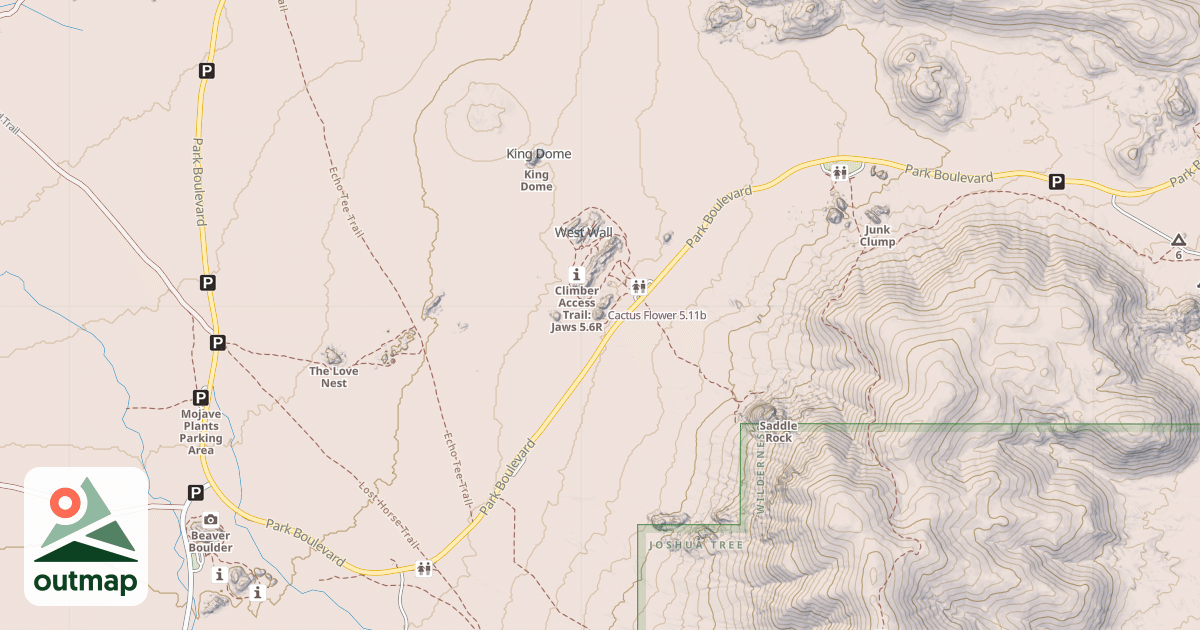 Map of Cactus Flower