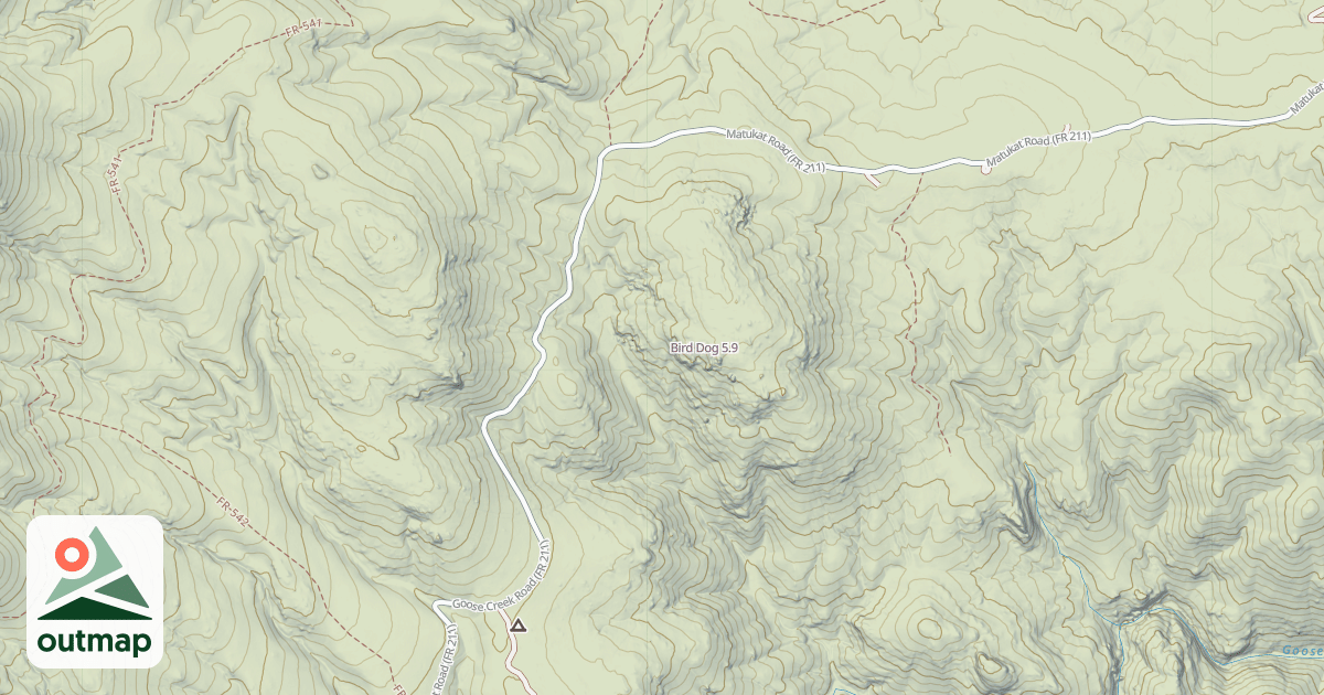 Map of Bird Dog