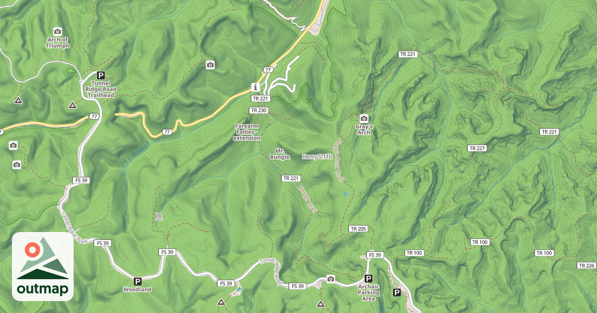 Map of Henry