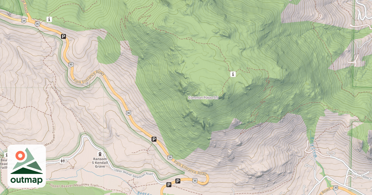 Map of Common Potoo