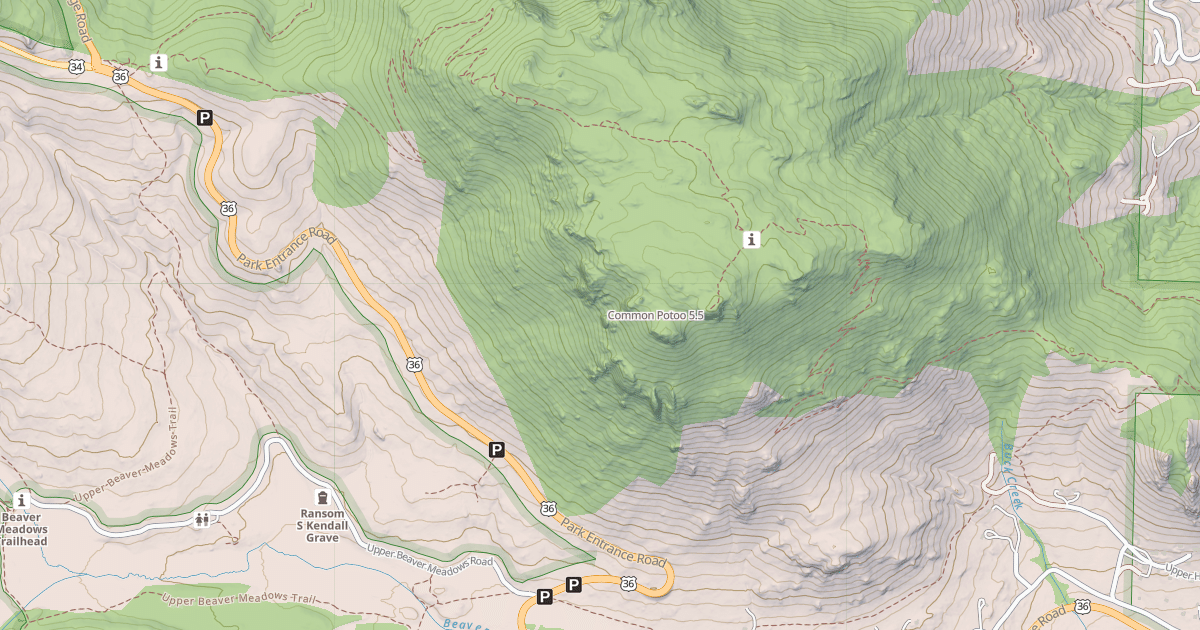 Map preview of Common Potoo