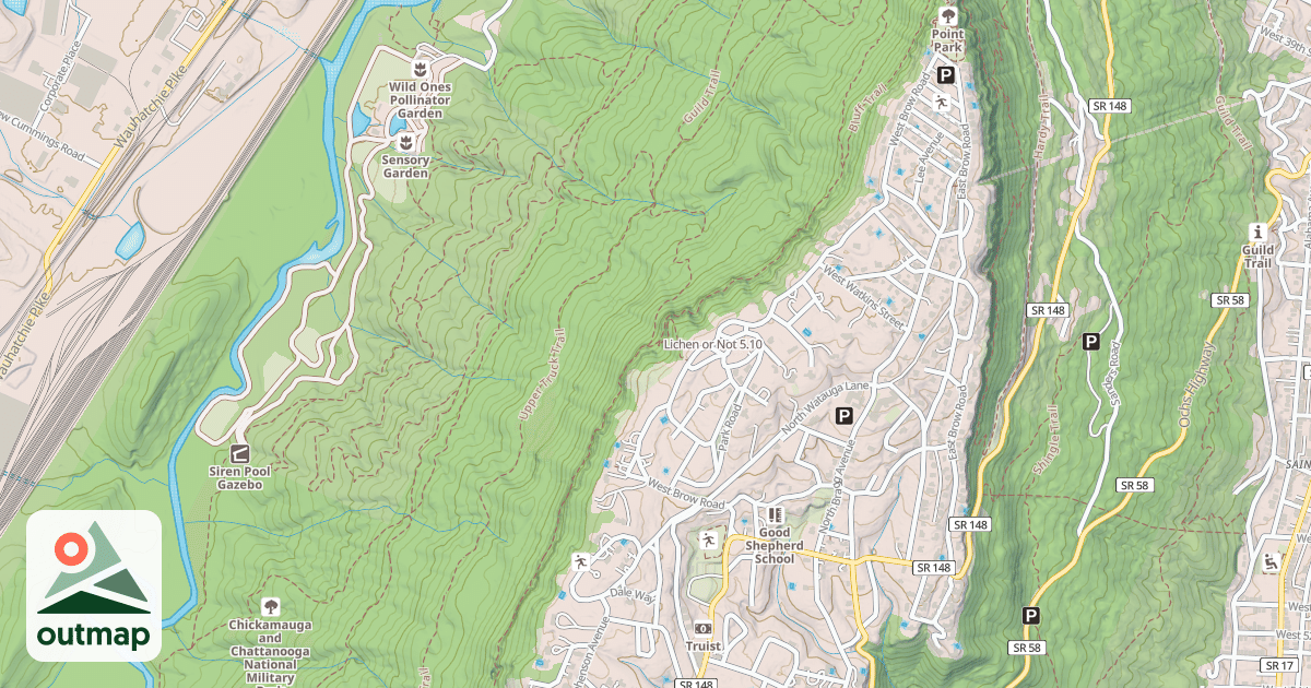 Map of Lichen or Not