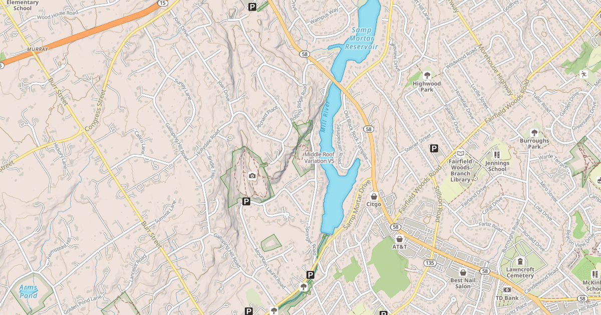 Map preview of Middle Roof Variation