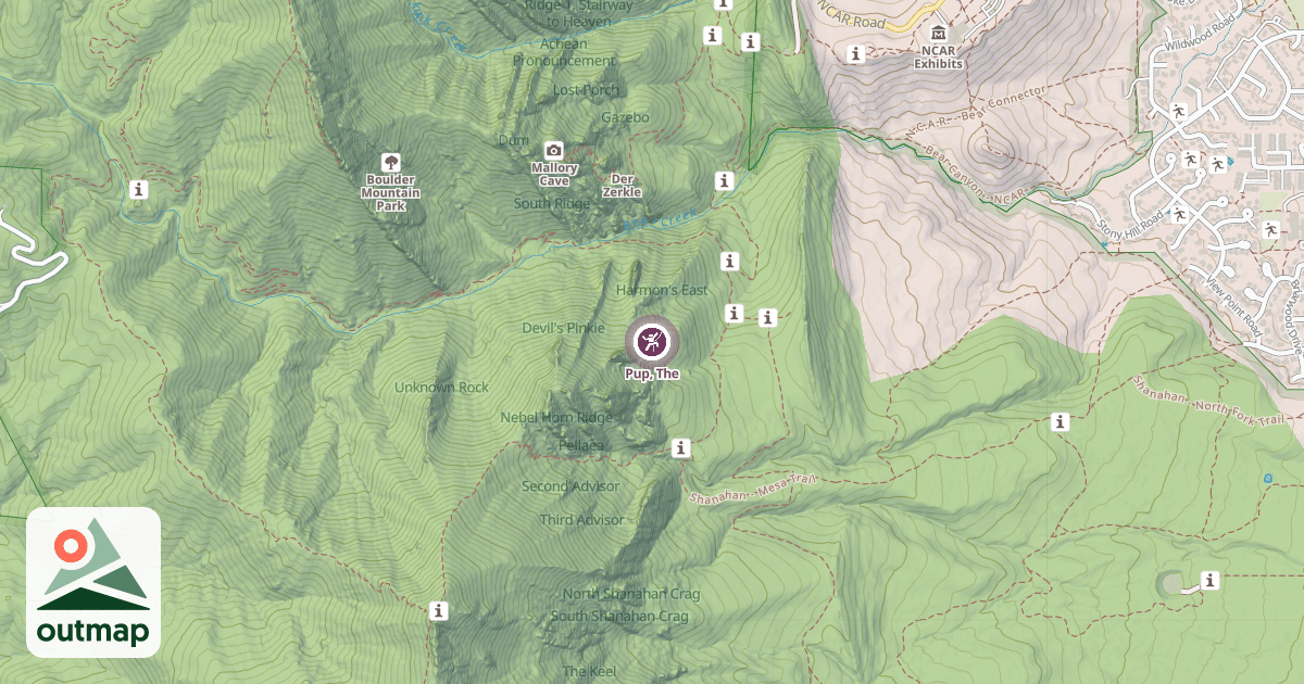 Map of Pup, The