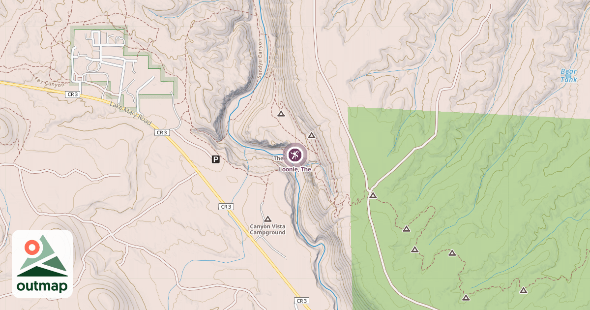Map of Loonie, The