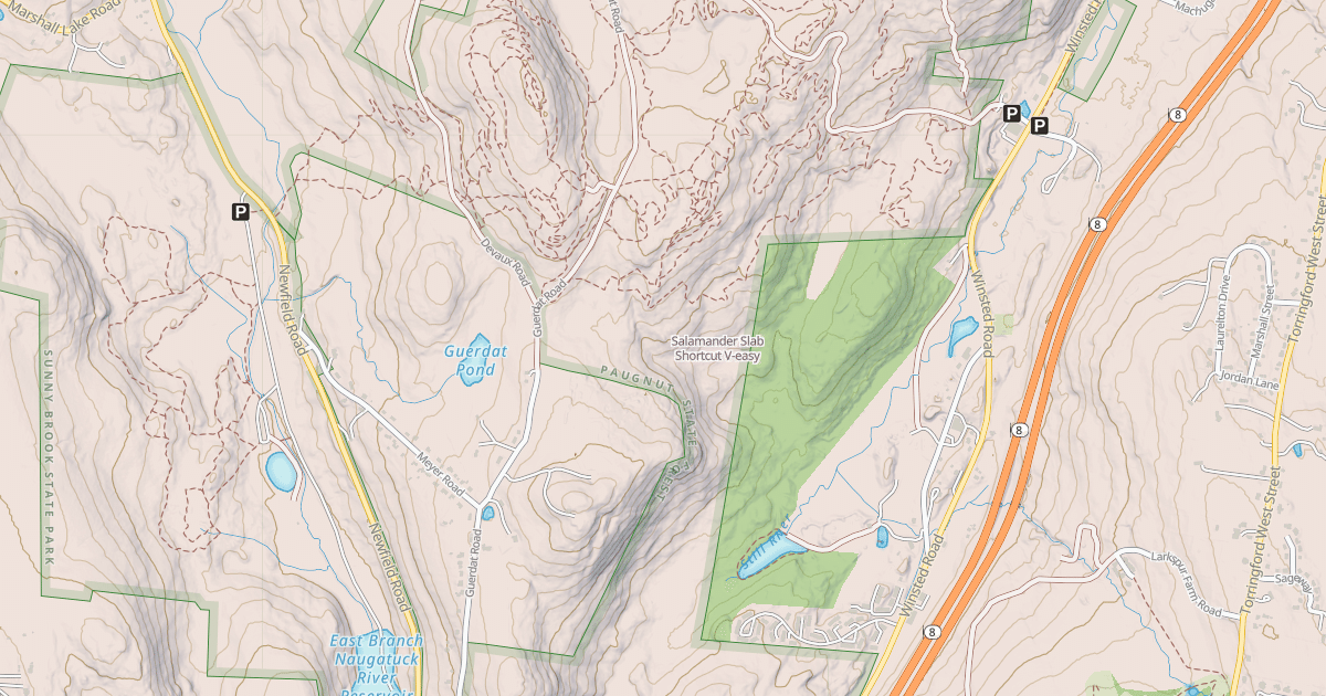 Map preview of Salamander Slab Shortcut