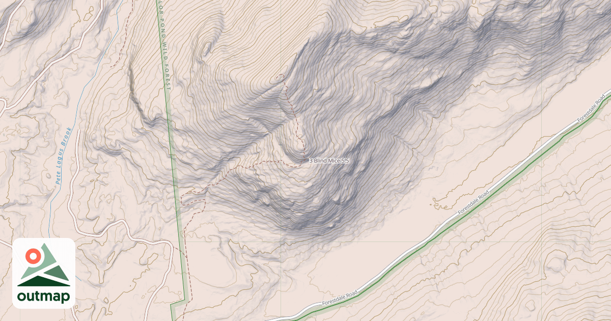 Map of 3 Blind Mice