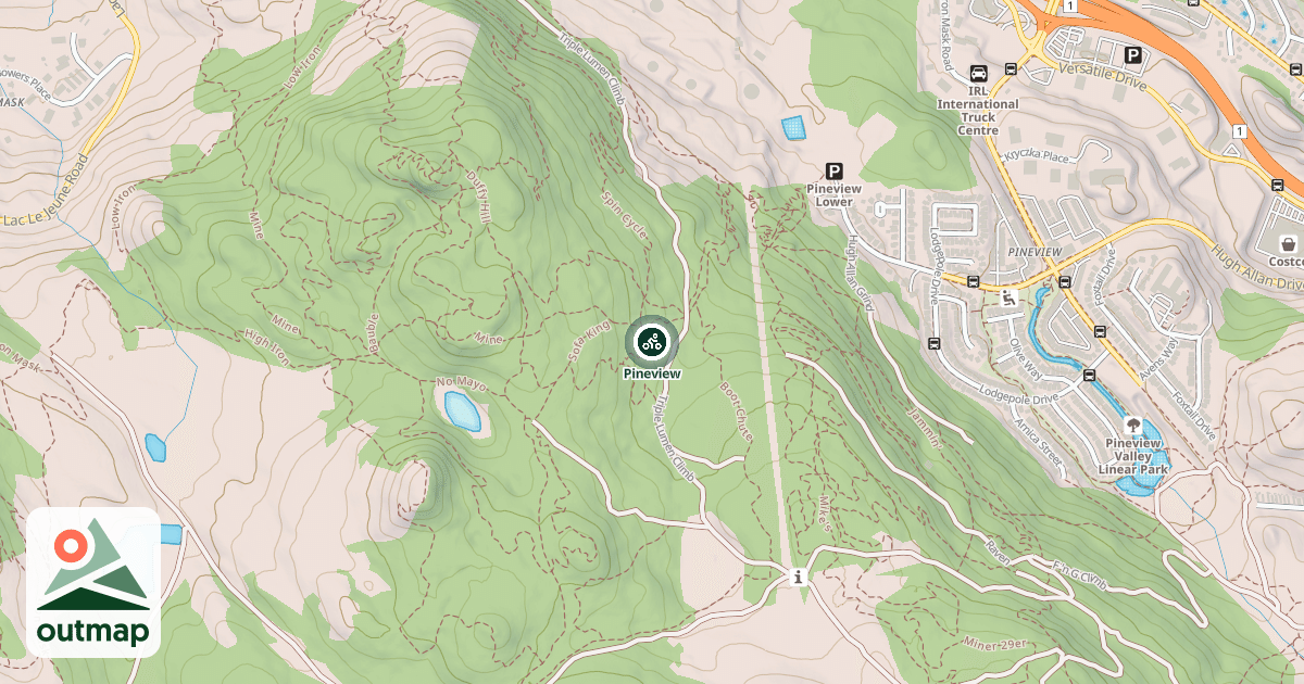 Map of Pineview