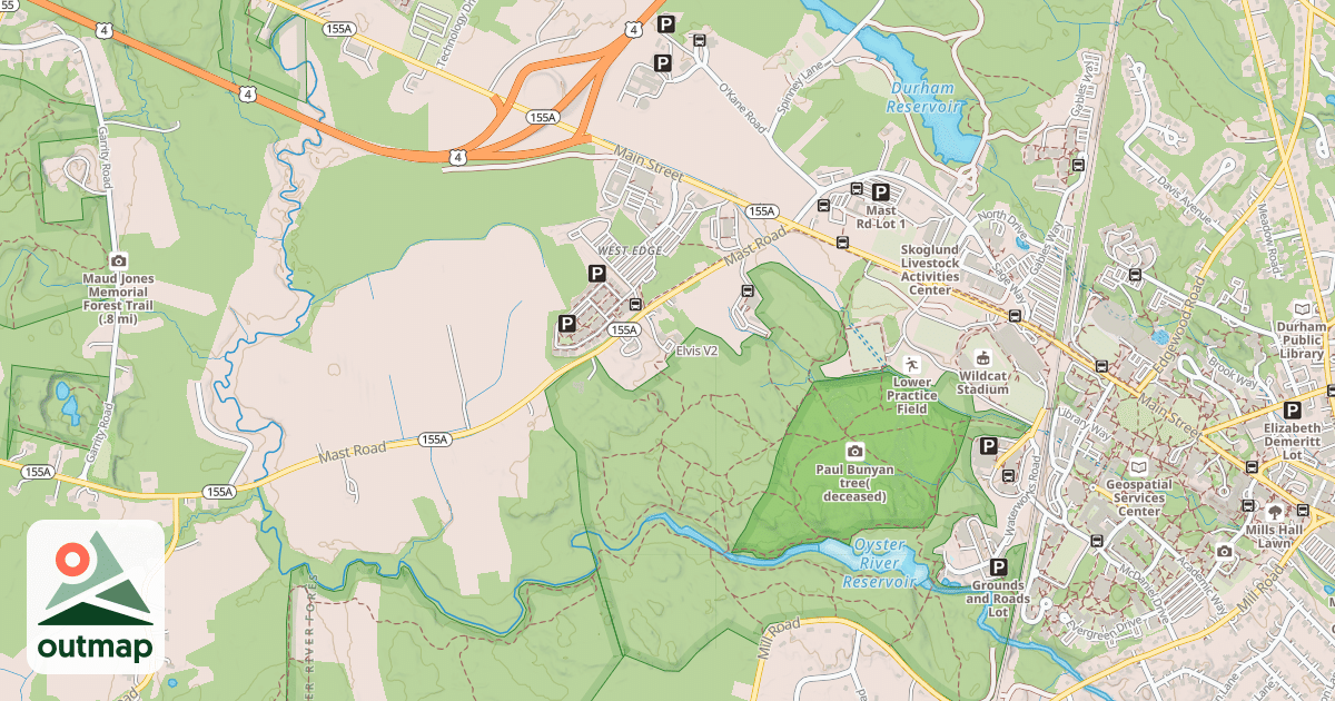 Map of Elvis