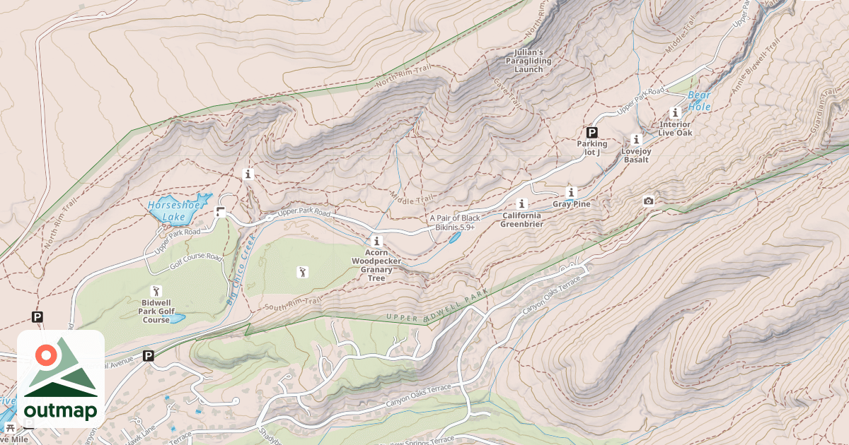 Map of A Pair of Black Bikinis