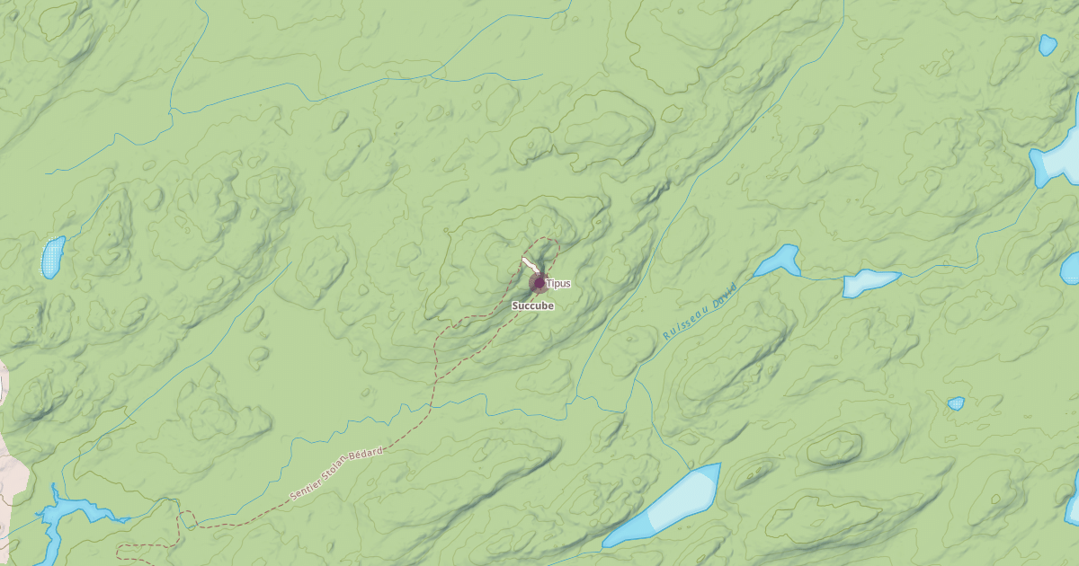 Map preview of Tipus