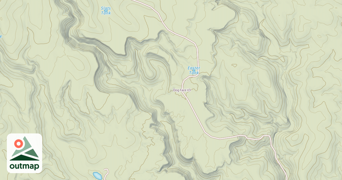 Map of Dog Face