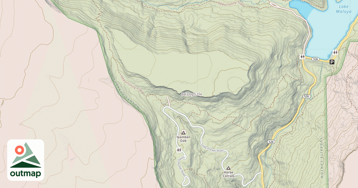 Map of Bat Dog