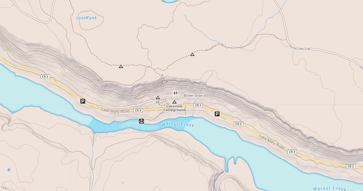 Map preview of Brown Strain