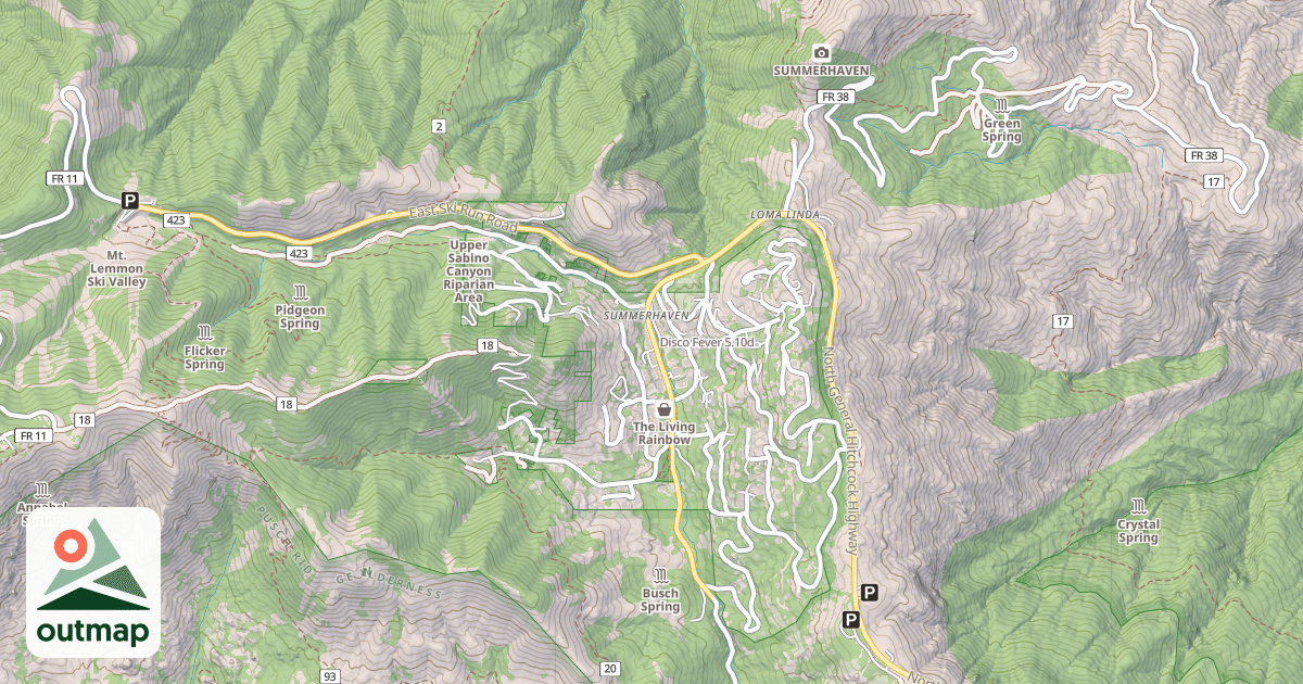 Map of Disco Fever