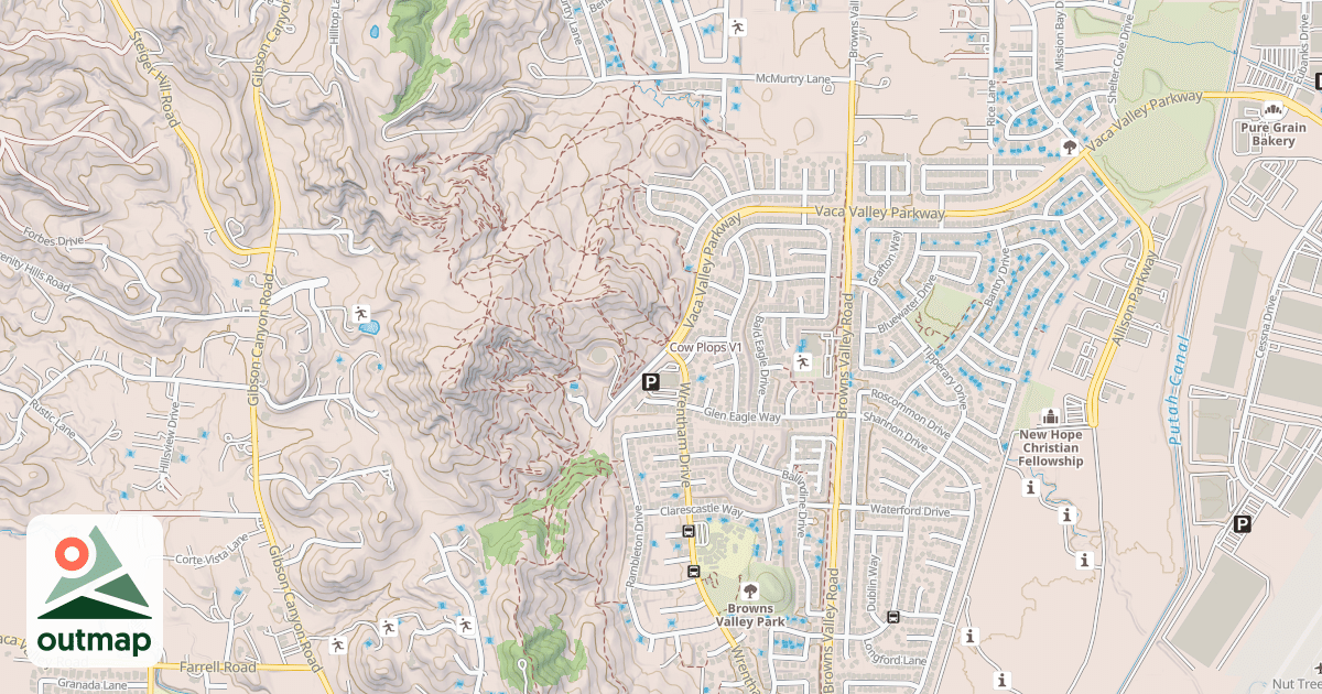 Map of Cow Plops