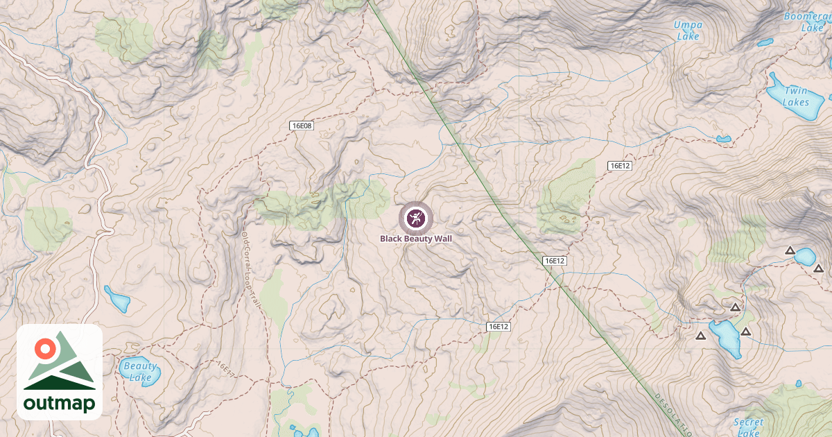 Map of Black Beauty Wall