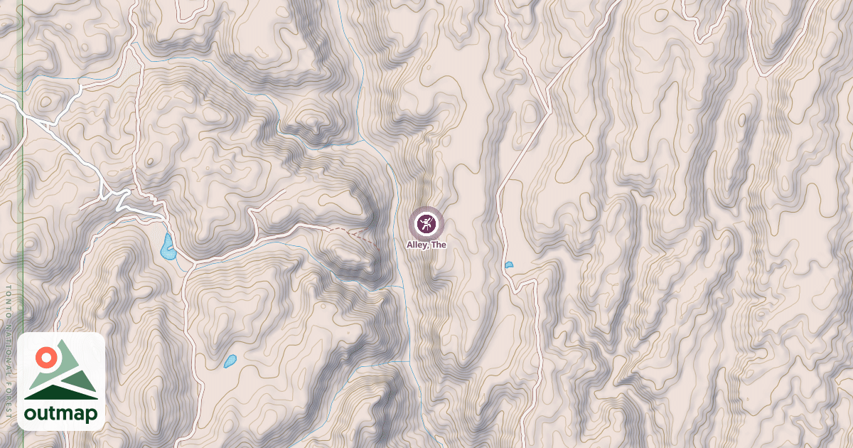 Map of Alley, The