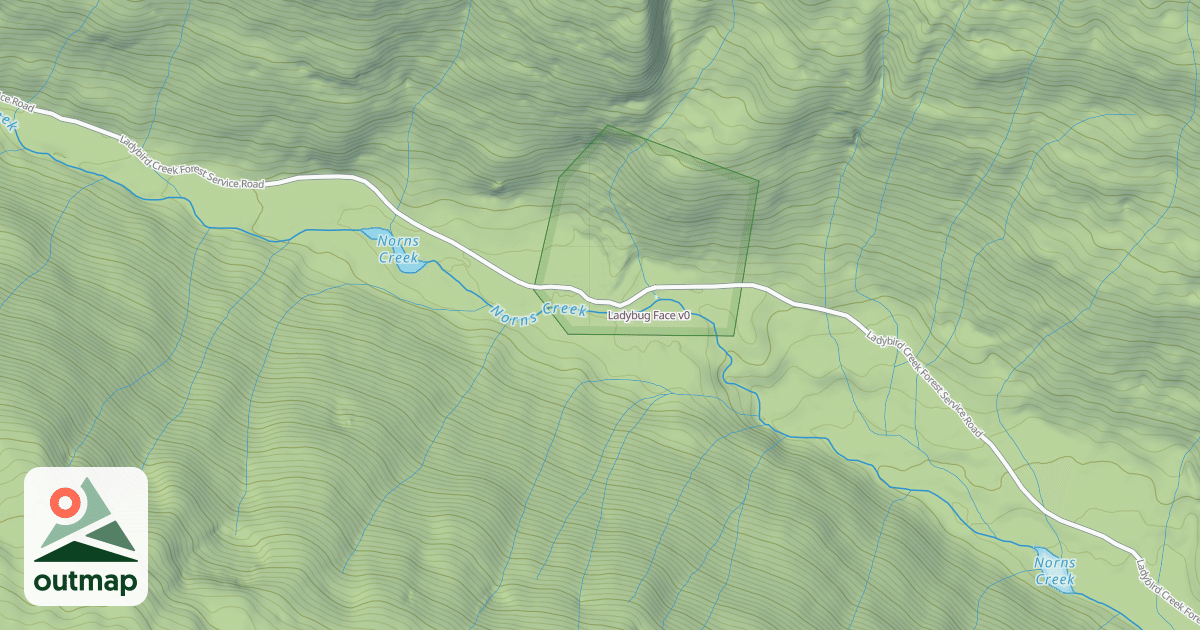 Map of Ladybug Face