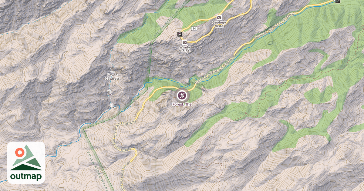 Map of Forest, The