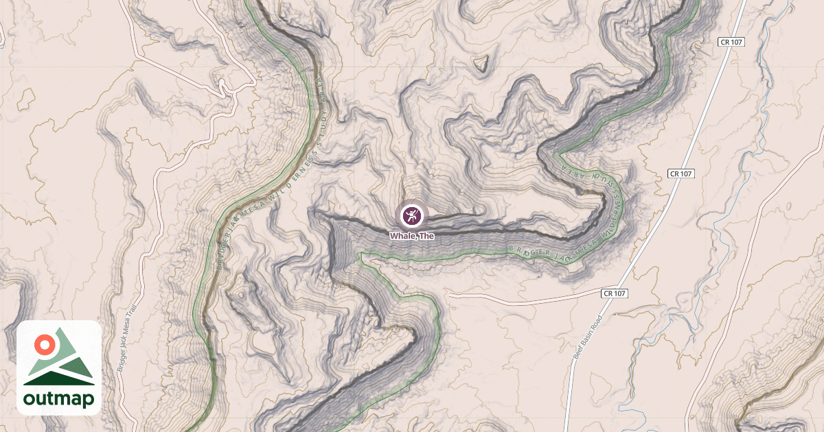 Map of Whale, The