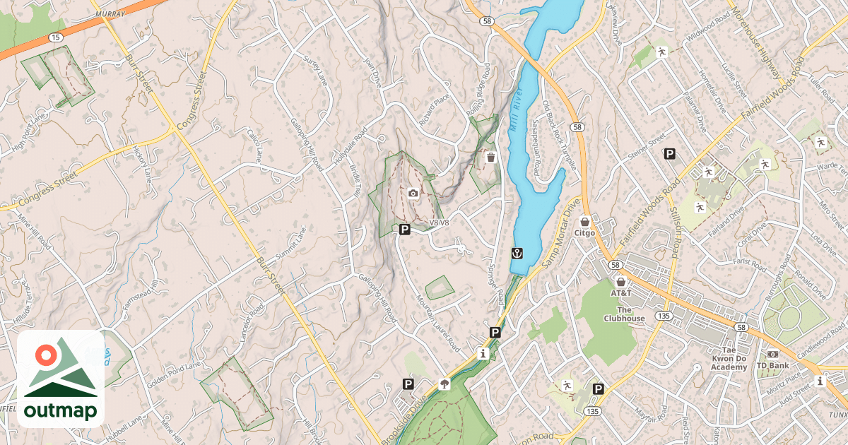 Map of V8