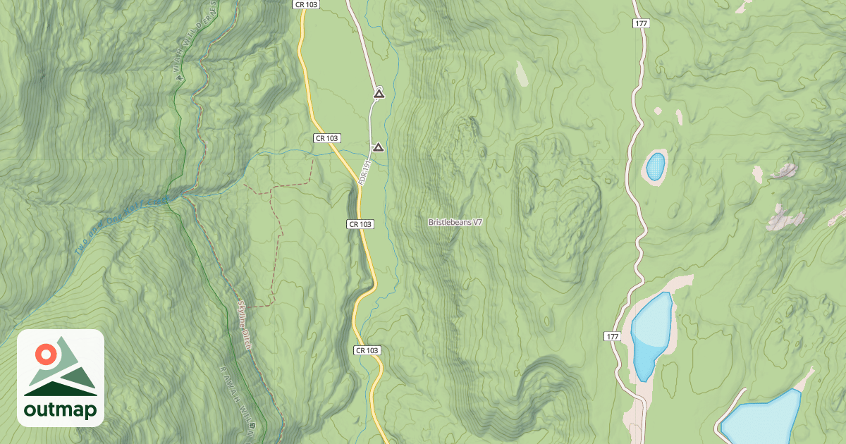 Map of Bristlebeans
