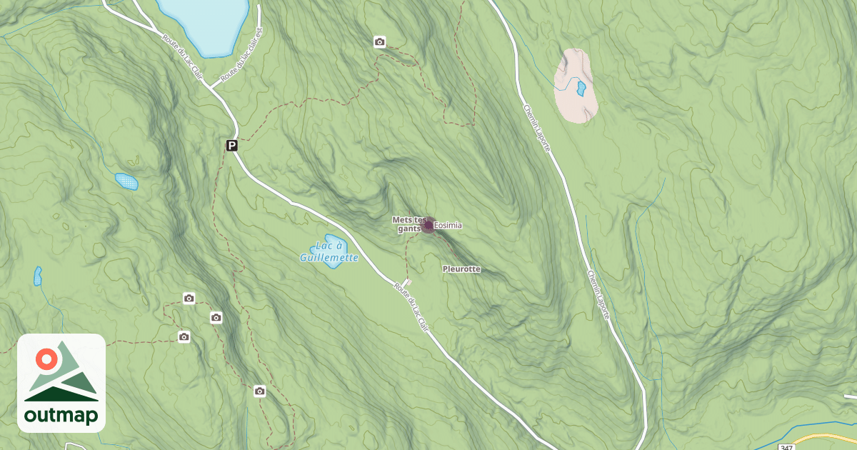 Map of Eosimia