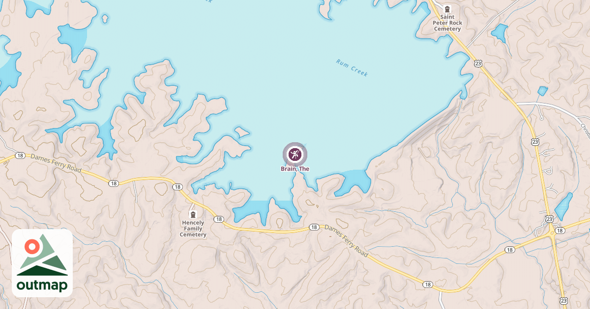 Map of Brain, The