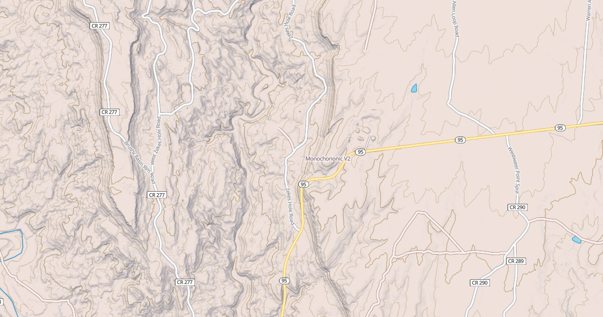 Map preview of Monochorionic
