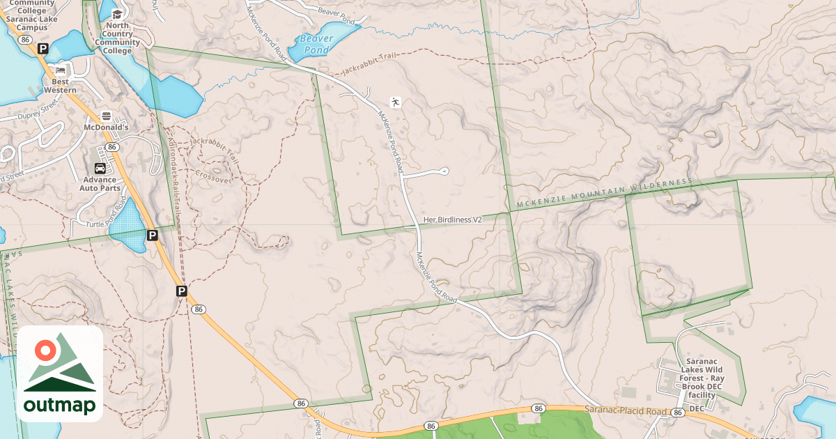 Map of Her Birdliness