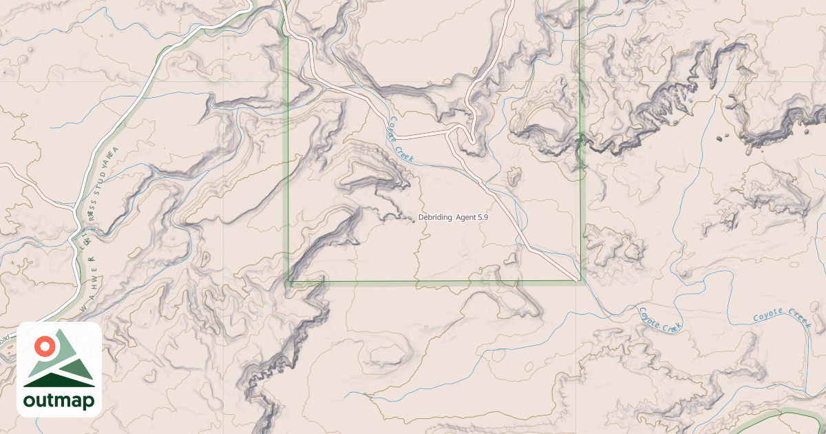 Map of Debriding  Agent