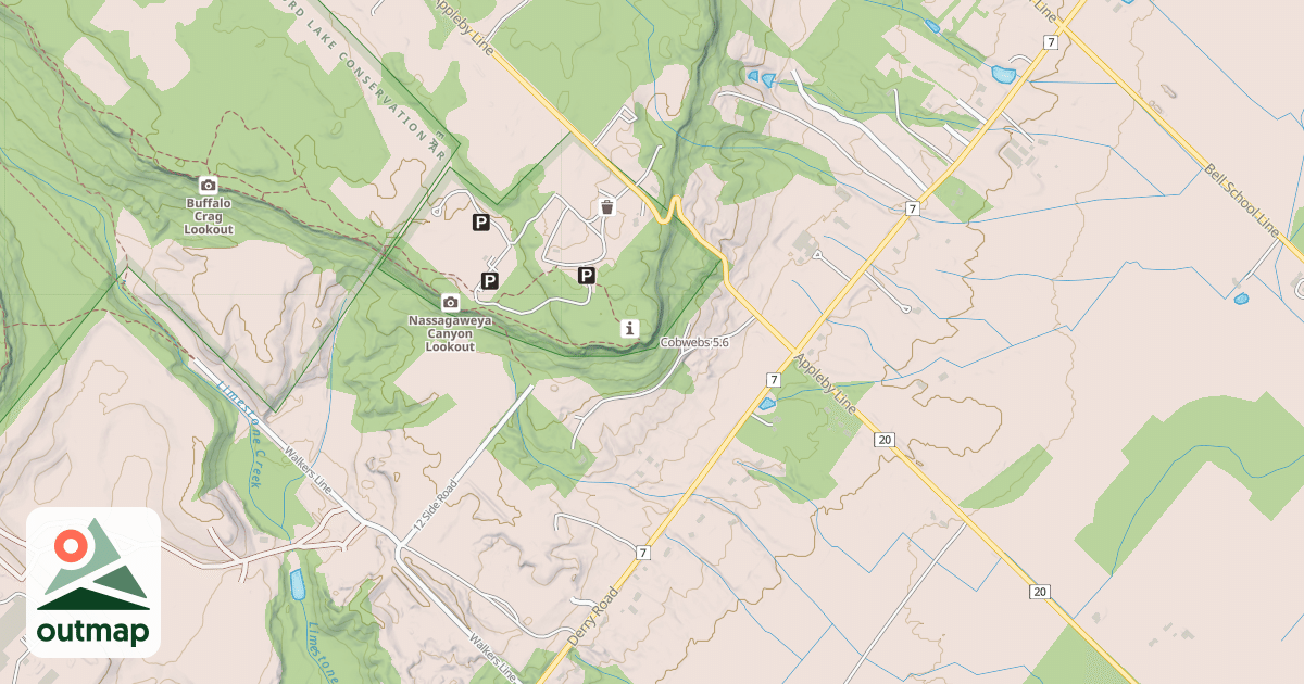 Map of Cobwebs
