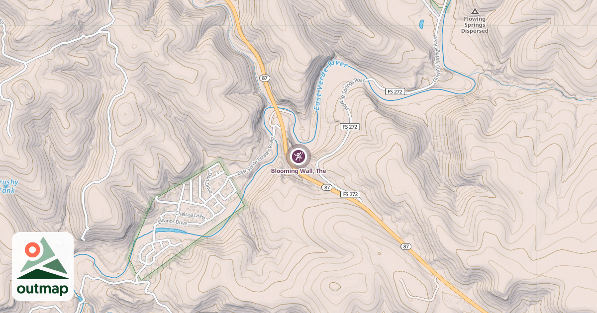 Map of Blooming Wall, The