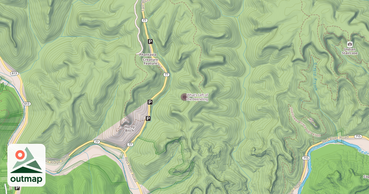 Map of What's Left of the Beeneling