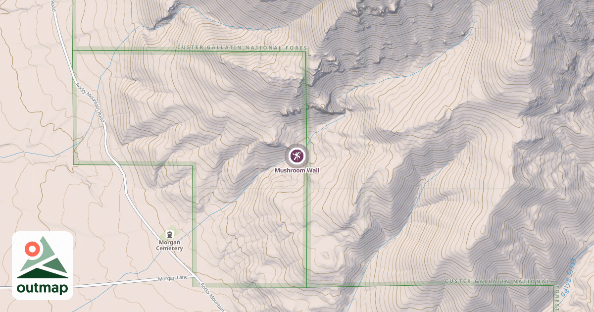 Map of Mushroom Wall