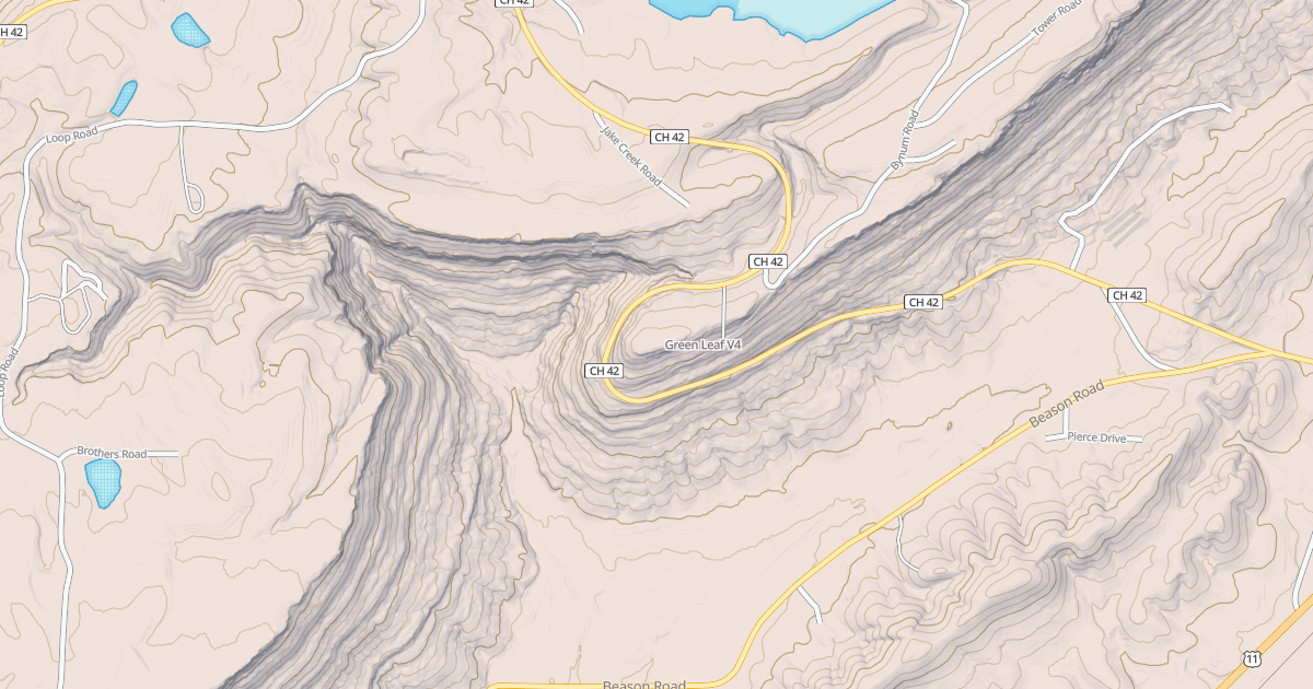 Map preview of Green Leaf