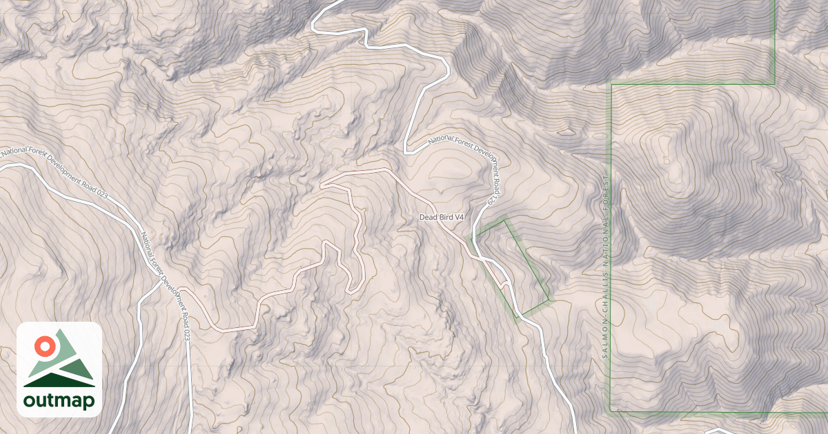 Map of Dead Bird
