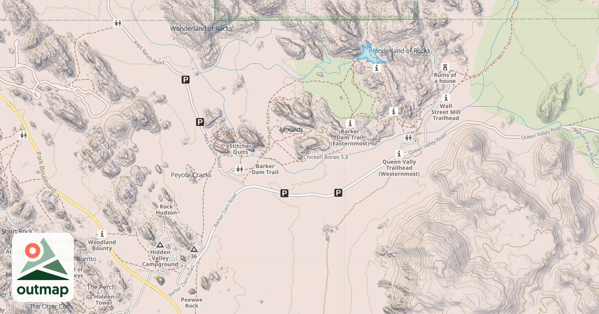 Map of Chicken Bones