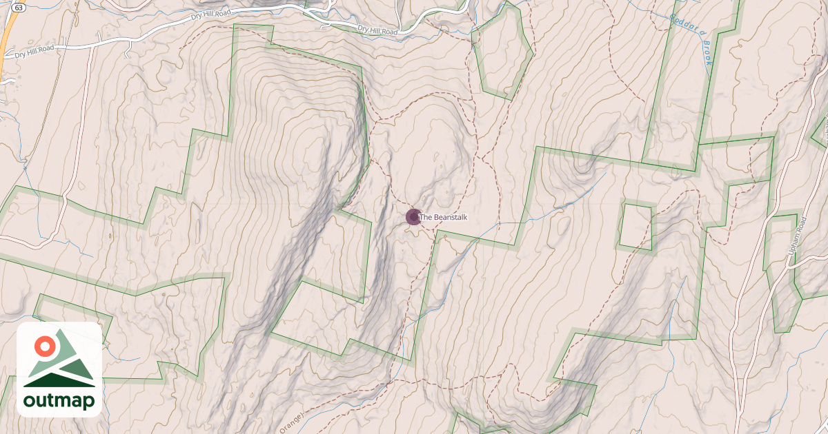 Map of The Beanstalk