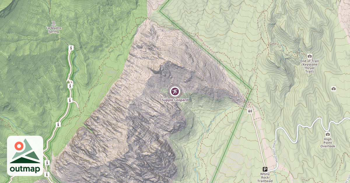 Map of Supple Leopard