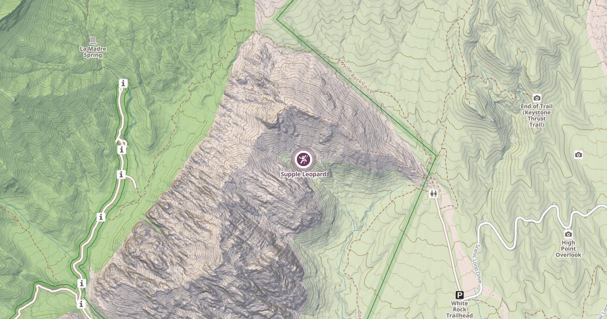 Map preview of Supple Leopard