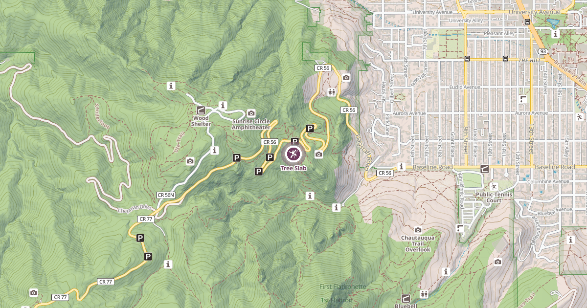 Map preview of Tree Slab
