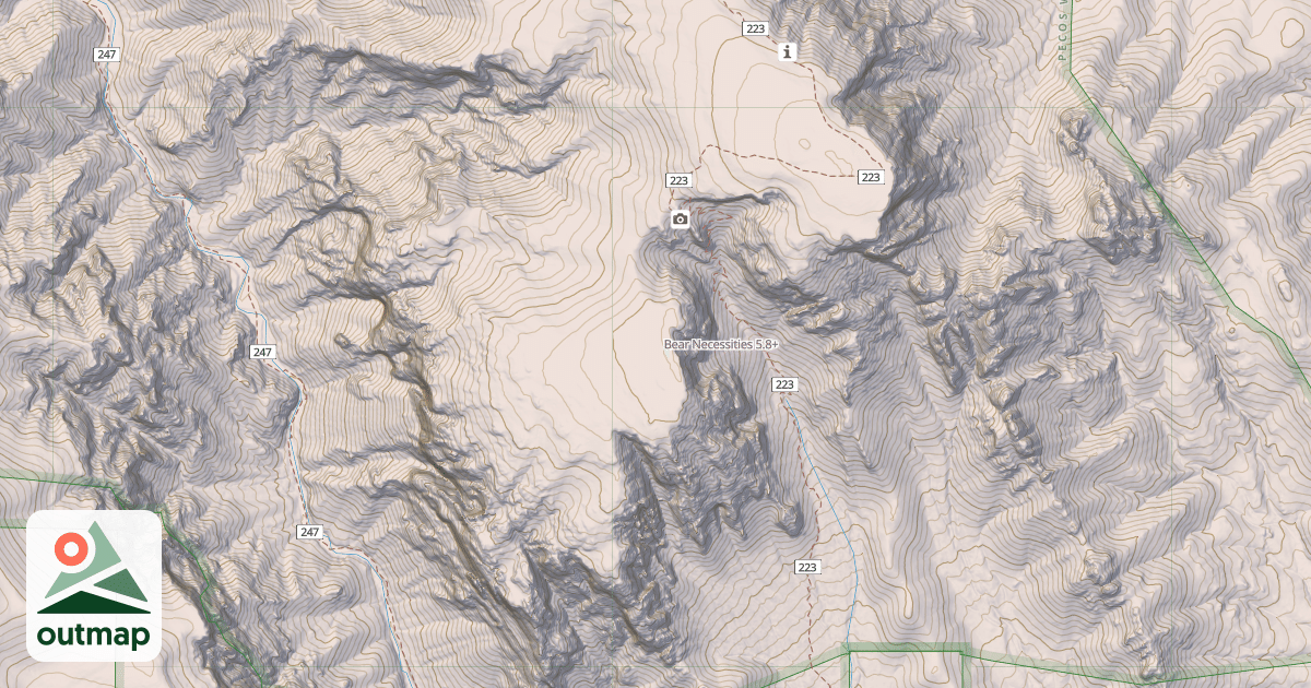 Map of Bear Necessities