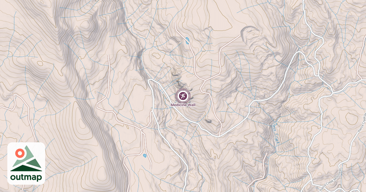 Map of Medicine Wall