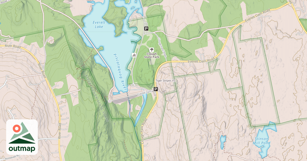 Map of Tiger Stripes