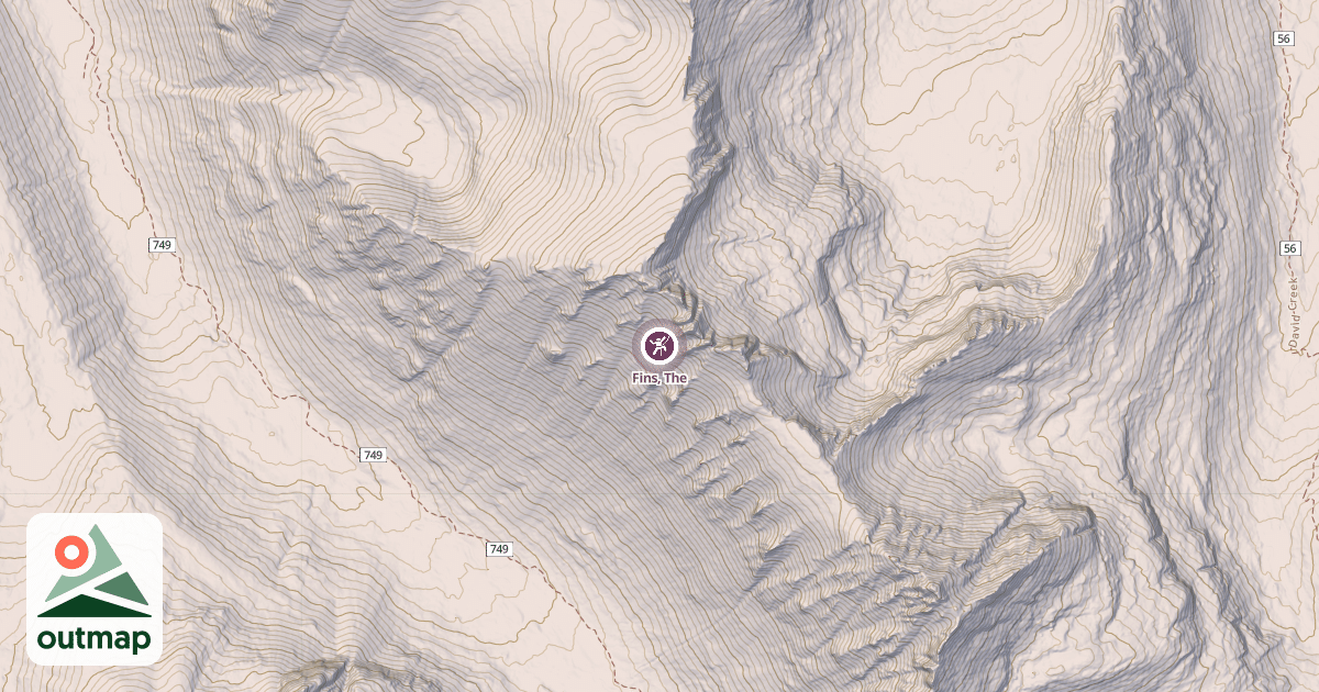 Map of Fins, The