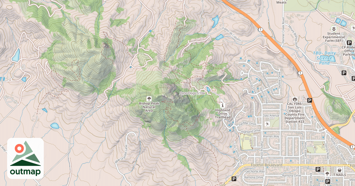 Map of Dyno Dogs