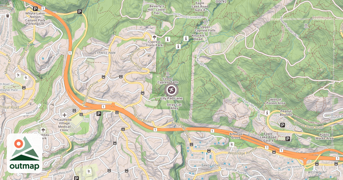 Map of Lily Pad Lane