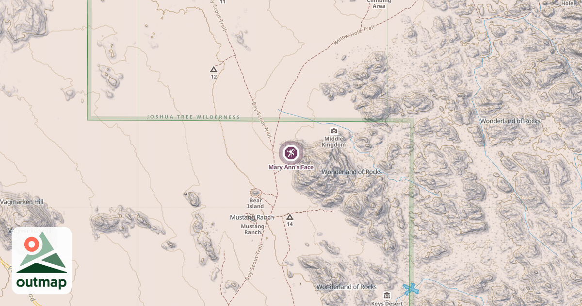 Map of Mary Ann's Face